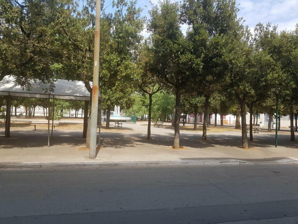 "La Casa Di Mariagrazia" Appartamento 4 Locali Sammichele Di Bari Exterior foto